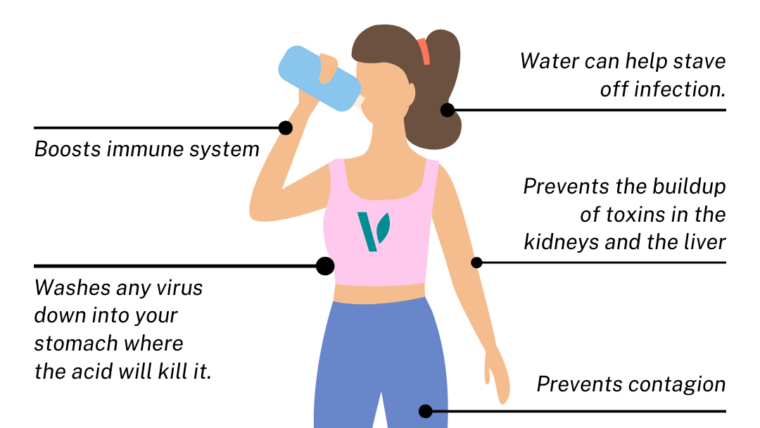 An Infographic: Drinking water is important because it boosts the immune system, which kills germs, viruses, free radicals, and toxins. 